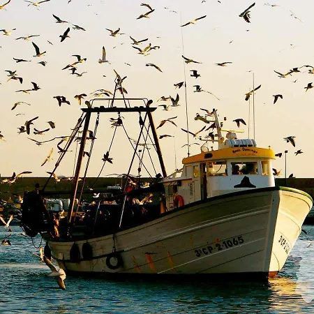 Costablancadreams Racodifac In Lägenhet *