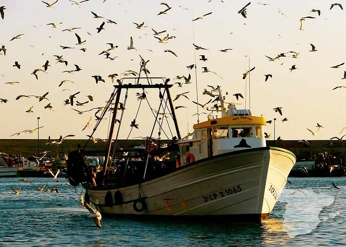 Costablancadreams Racodifac In Διαμέρισμα *