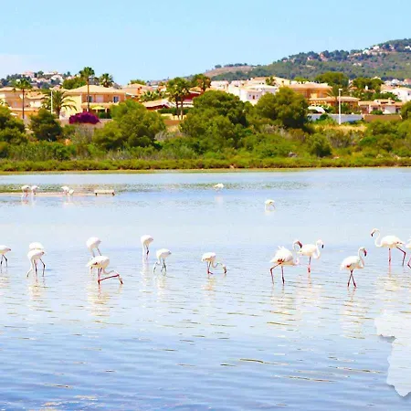 Costablancadreams Racodifac In * 卡尔佩